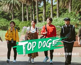 萌妹社区《TOP DOG》免费在线观看